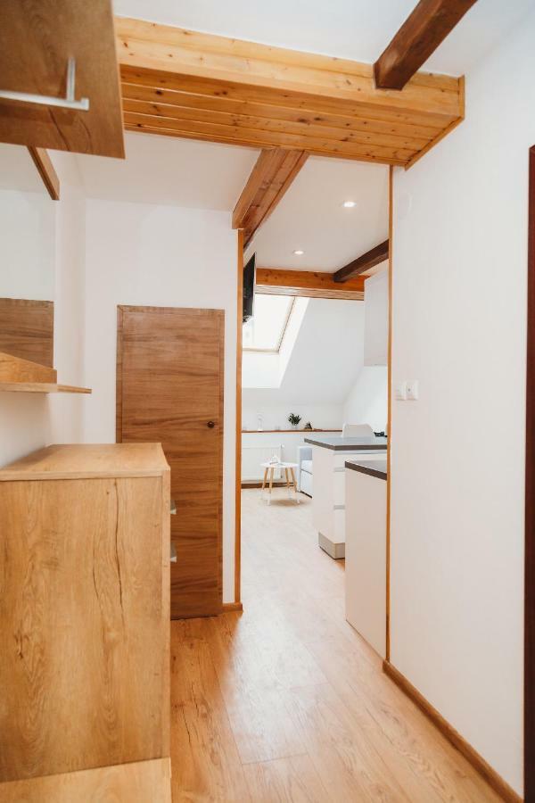 Center City Charming Loft Apartment Košice Eksteriør billede